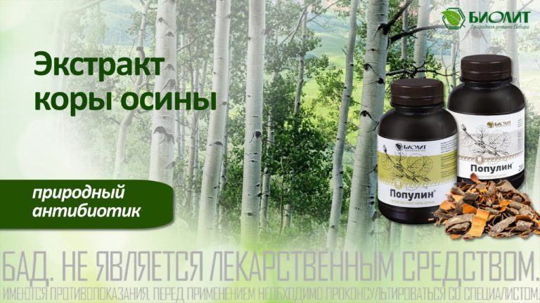 Экстракт коры осины