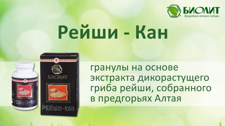 Рейши-Кан. Коротченко Н.В., научный консультант ООО “Биолит”