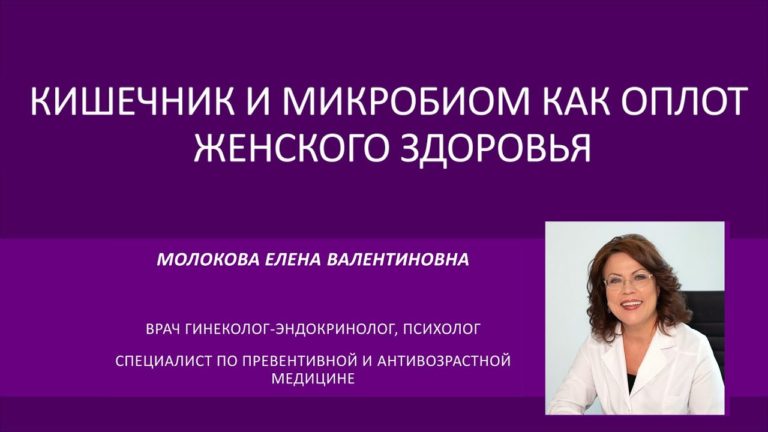 КИШЕЧНИК И МИКРОБИОМ КАК ОПЛОТ ЖЕНСКОГО ЗДОРОВЬЯ. Врач гинеколог-эндокринолог Молокова Е. В.